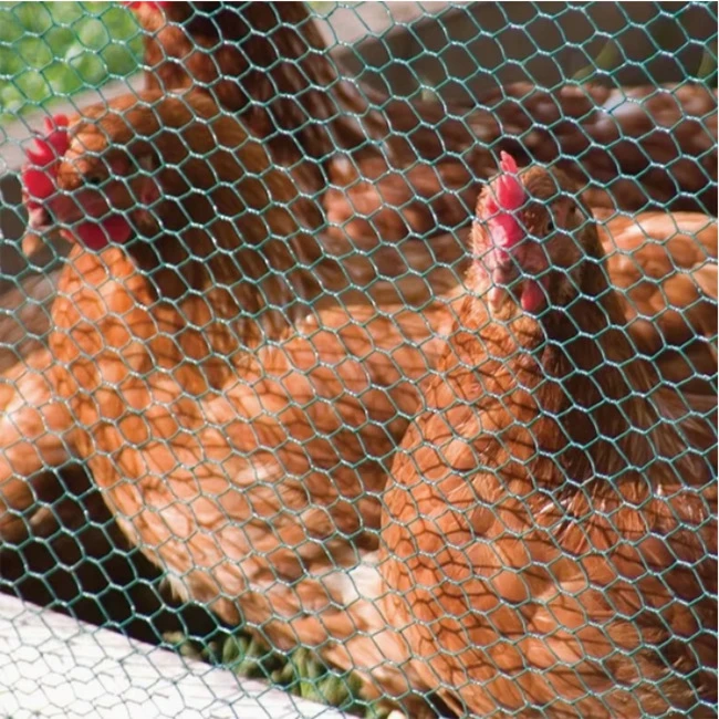 image005 image005